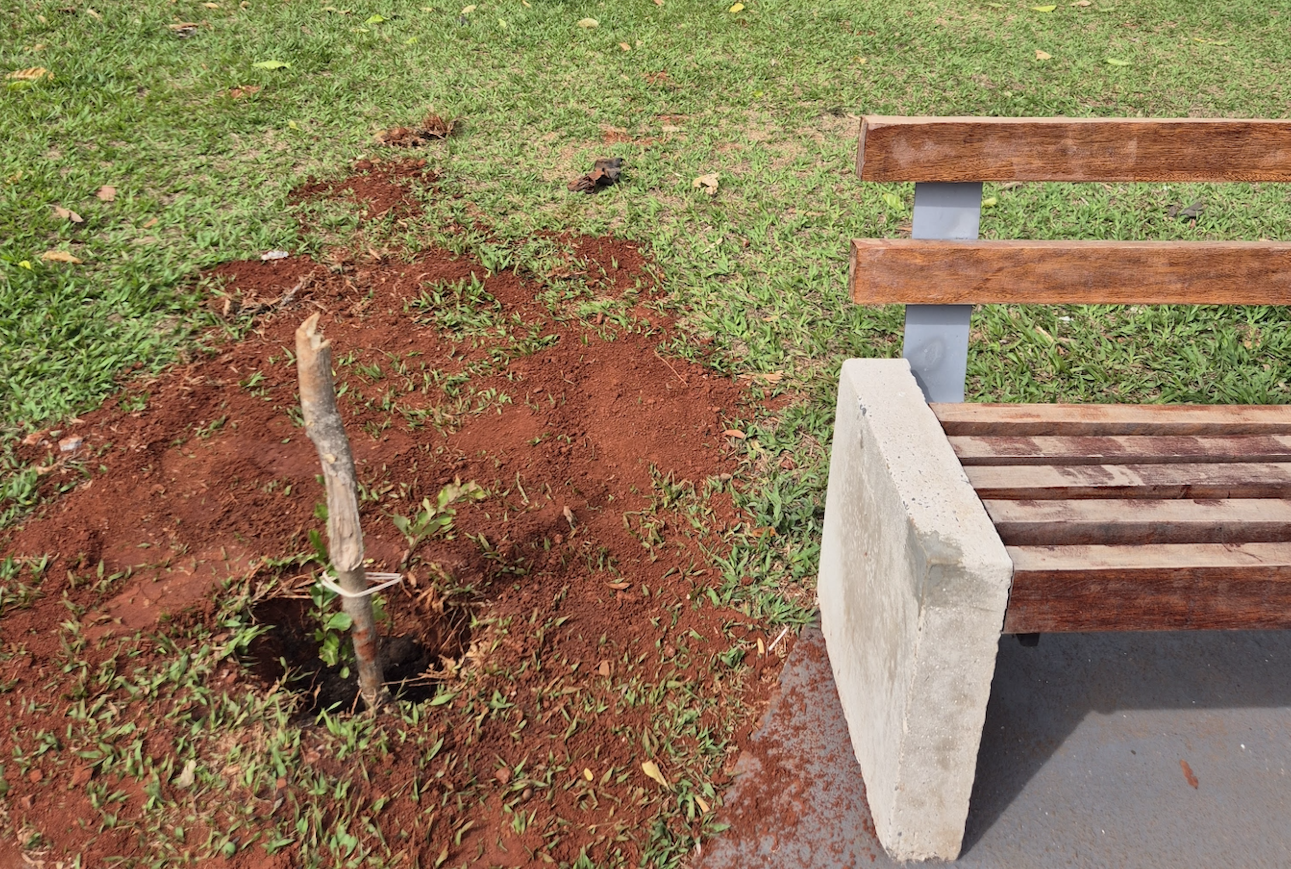  Captura de Tela 2025-11-14 às 09.18.29.png