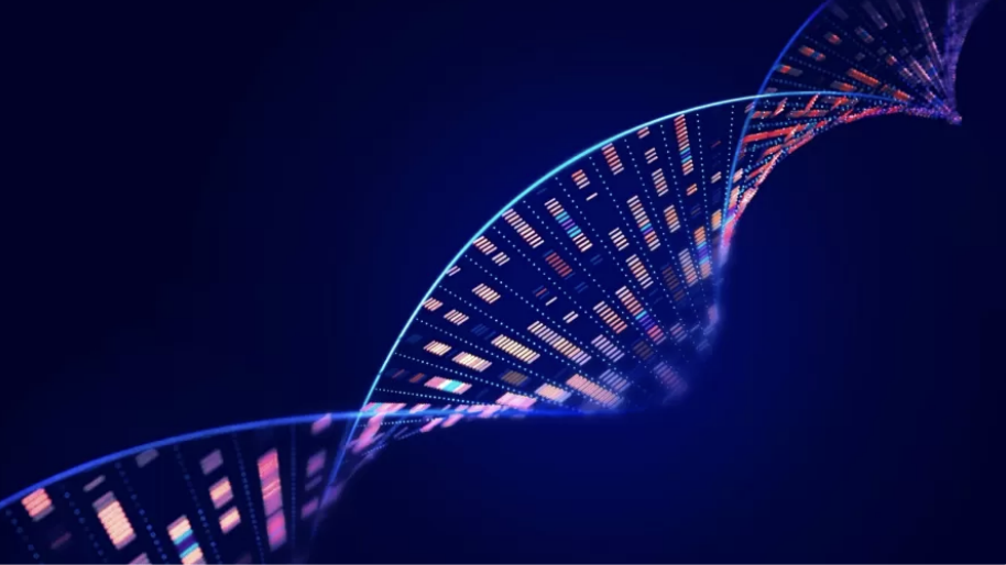  Captura de Tela 2026-01-29 às 10.54.51.png