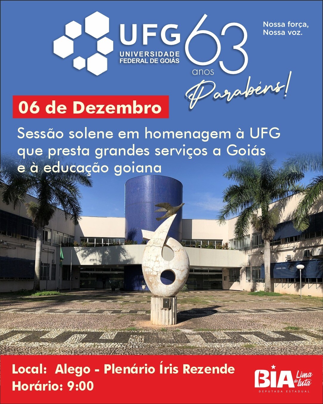 Certificado de Mérito Legislativo - Lenice Miranda Alves