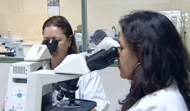 Laboratório_Rômulo_Rocha