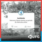 matrículavet