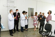 neurociências