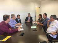 comitê de energia comitê de energia