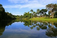 jdbotanico