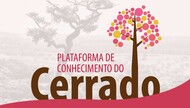 Cerrado