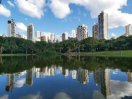 vaca brava