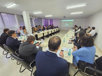 comitê gestor pacto