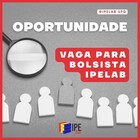 vaga ipelab