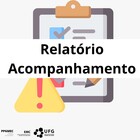 noticia Relatorio