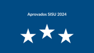 sisu2024