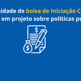 Bolsa Estela