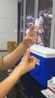Vacinação adultos - Foto 3