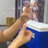 Vacinação adultos - Foto 3
