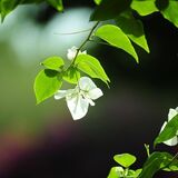 Gestão e Qualidade Ambiental
