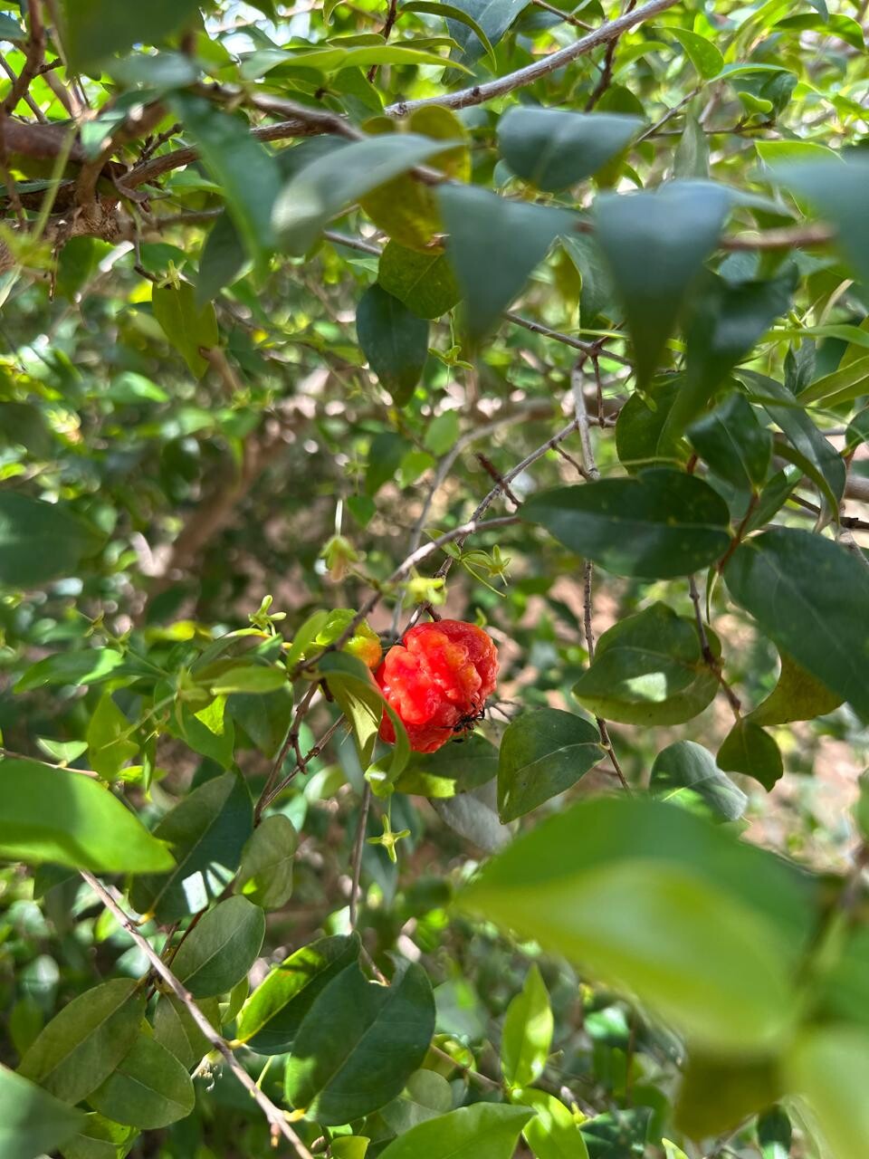IMG-20250414-WA0024