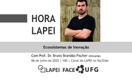  Hora-LAPEI-2022-Bruno-Brandão-site.png
