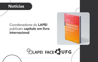 Capítulo livro Springer - Emp. no Brasil