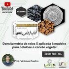 Você conhece a análise de Densitometria de Raios X aplicada à madeira para celulose e carvão vegetal?