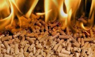 Pellets