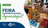card-noticia-feira-interinstitucional