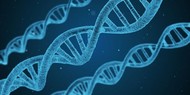 dna-genetica
