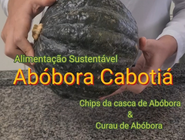 ean-na-web-curau-abobora