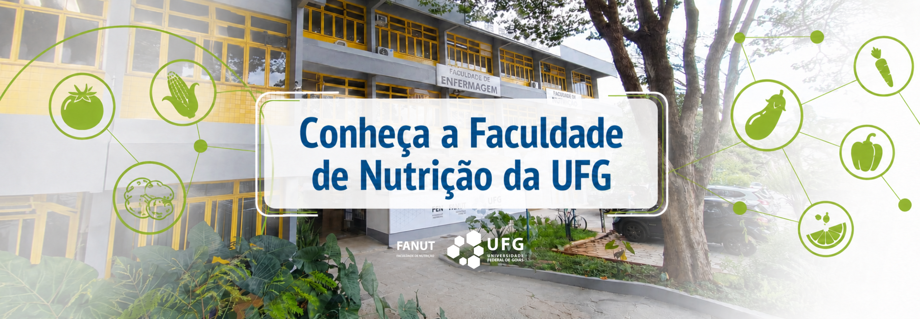 banner-fanut-institucional
