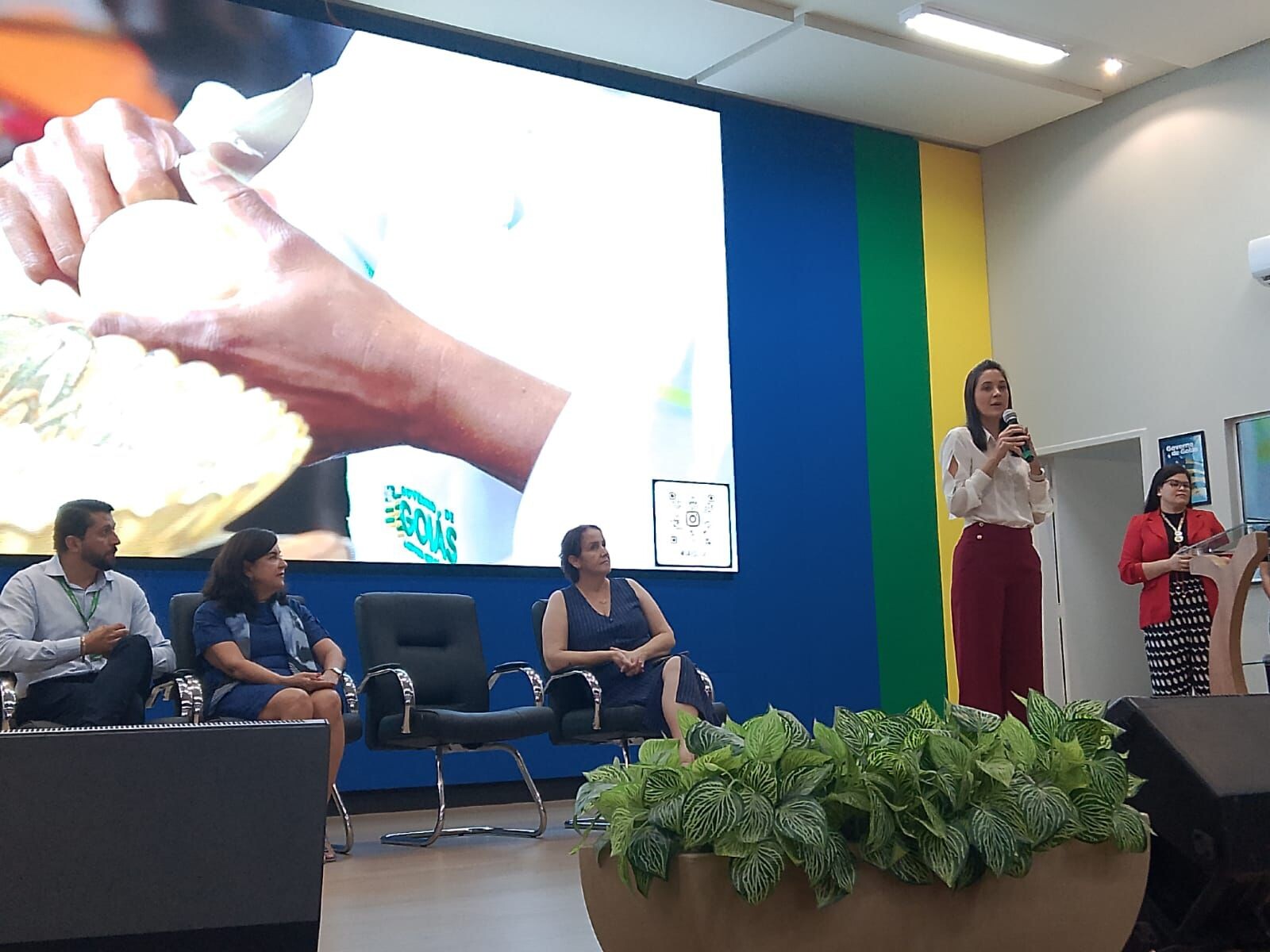 capacitacao-boas-praticas-alimentos-2025-3