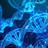 dna-imagem dna-imagem