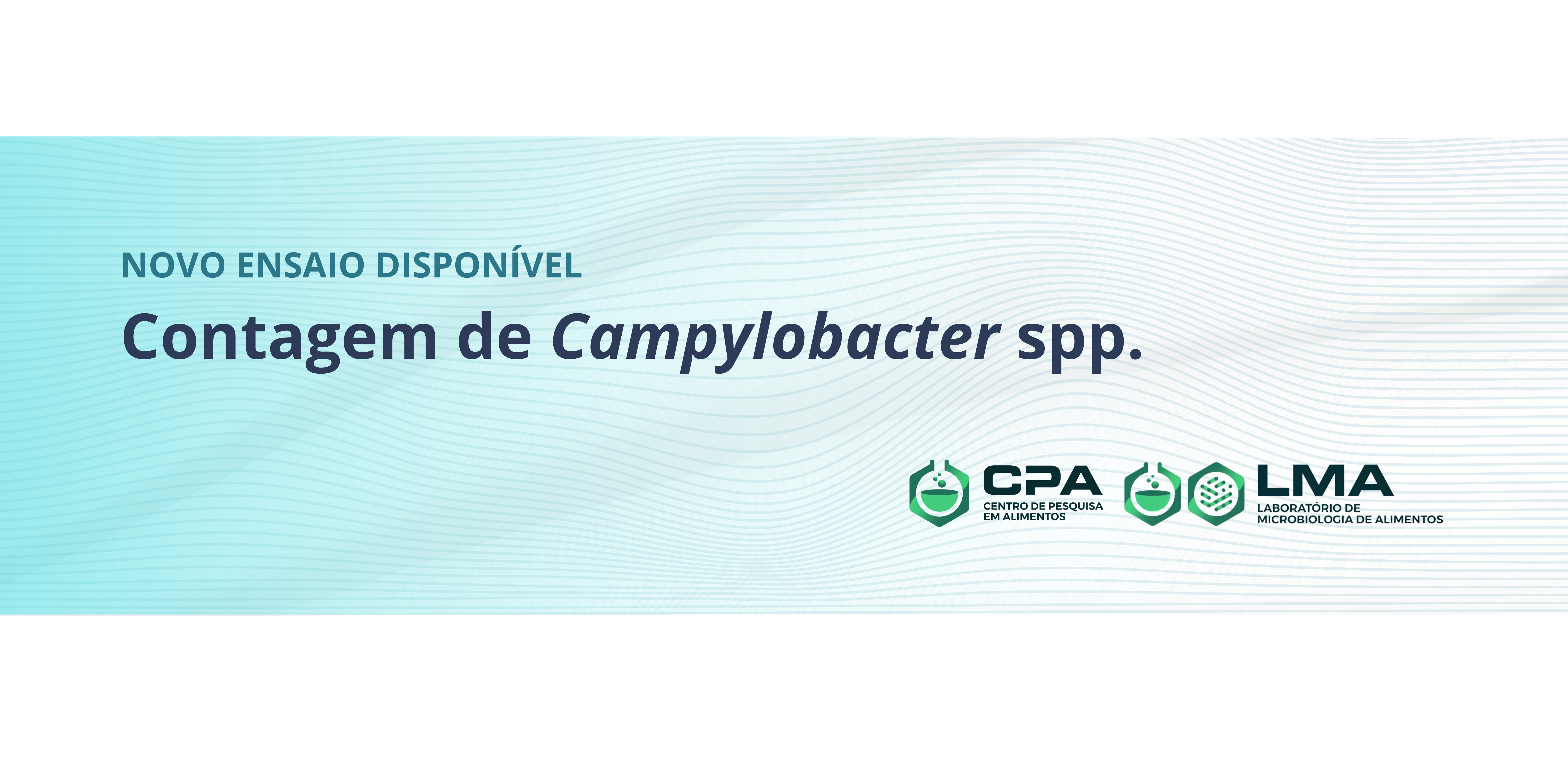 Capa-Campylobacter-2025