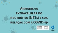 Armadilha extracelular do neutrófilo (NETs) e sua relação com a COVID-19 
