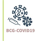 bcg logo