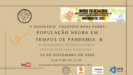 V Seminário Coletivo Rosa Parks