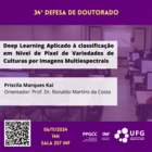 34 Defesa de Tese de Doutorado.png