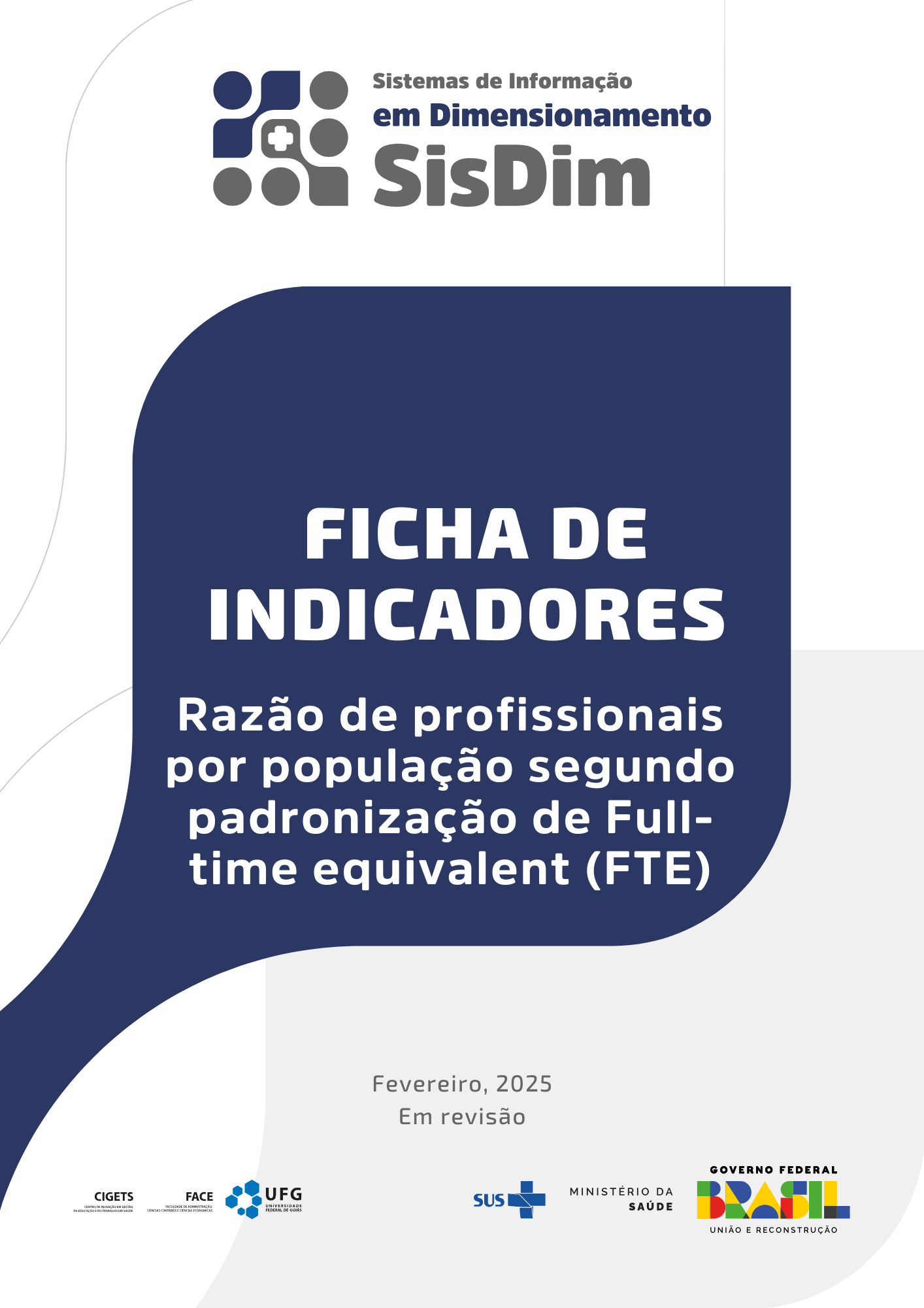 Razão de profissionais por população segundo padronização de Full-time equivalent (FTE)