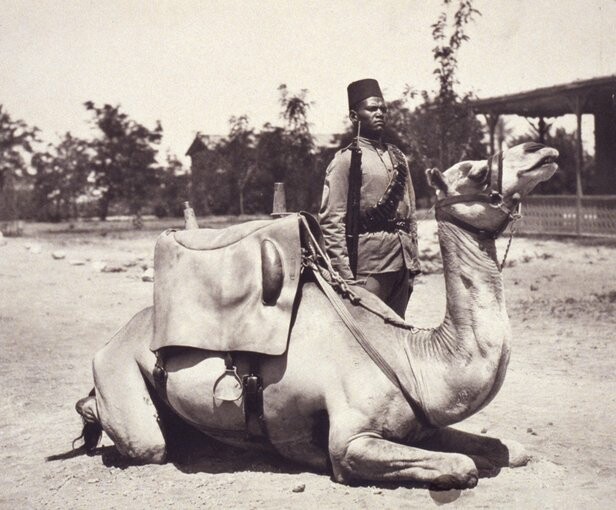 Soldado