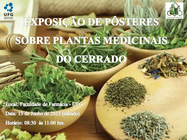Exposição plantas medicinais