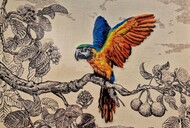 WhatsApp Image 2026-03-12 at 15.26