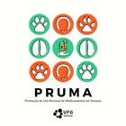 Logo pruma