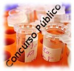 noticia1315493747.jpg