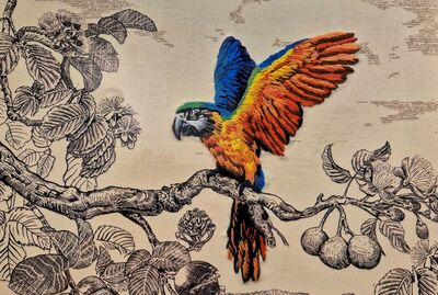 WhatsApp Image 2026-03-12 at 15.26