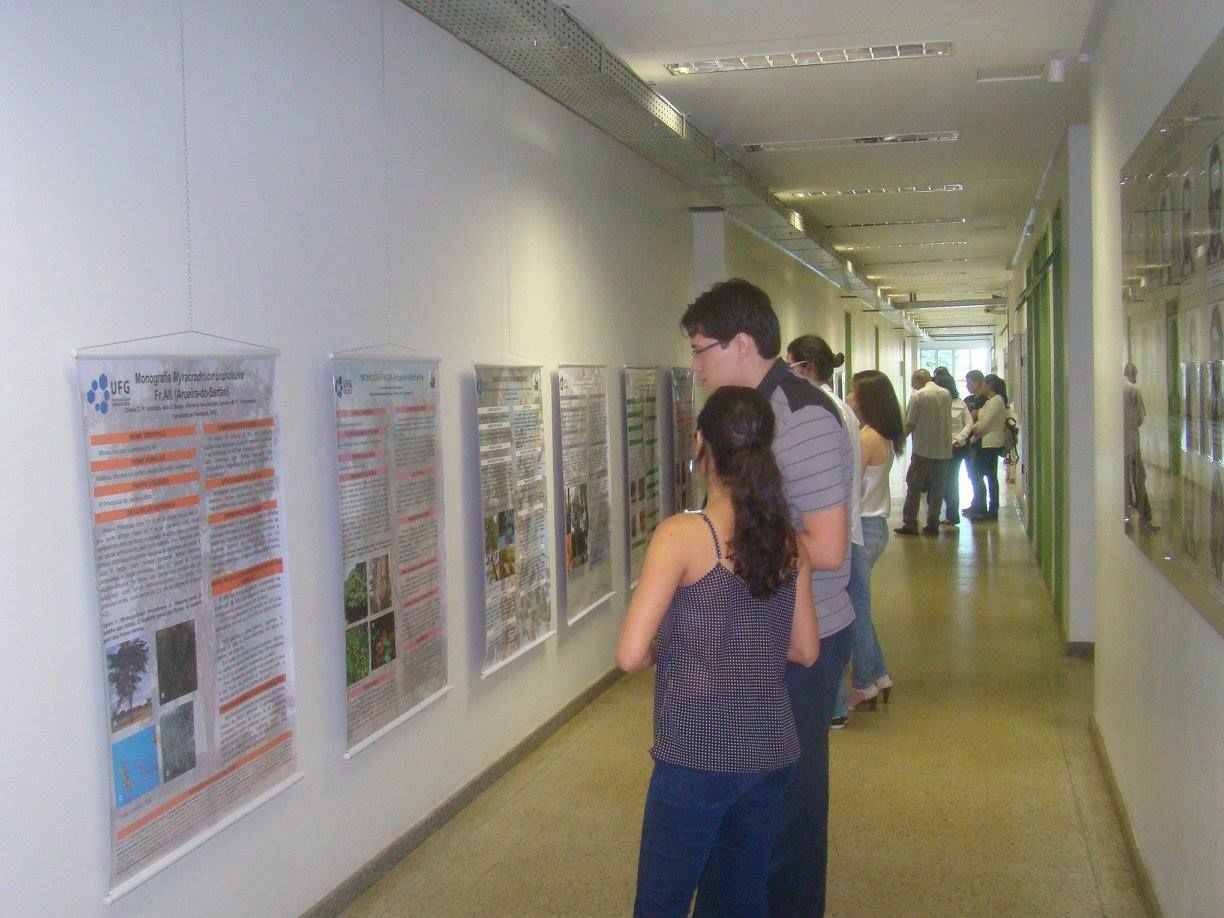 Exposição de Pôsteres 1