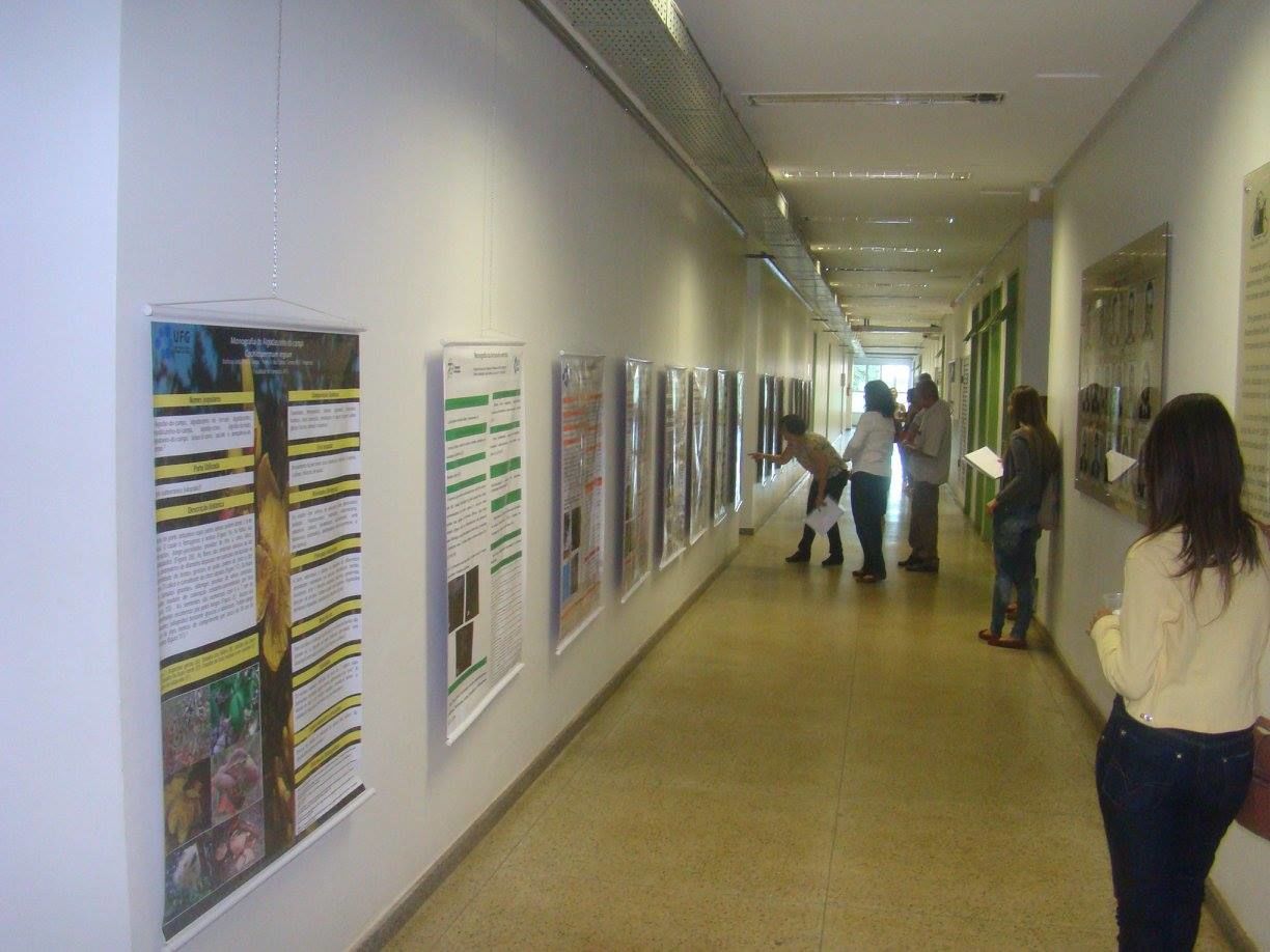 Exposição de Pôsteres 3