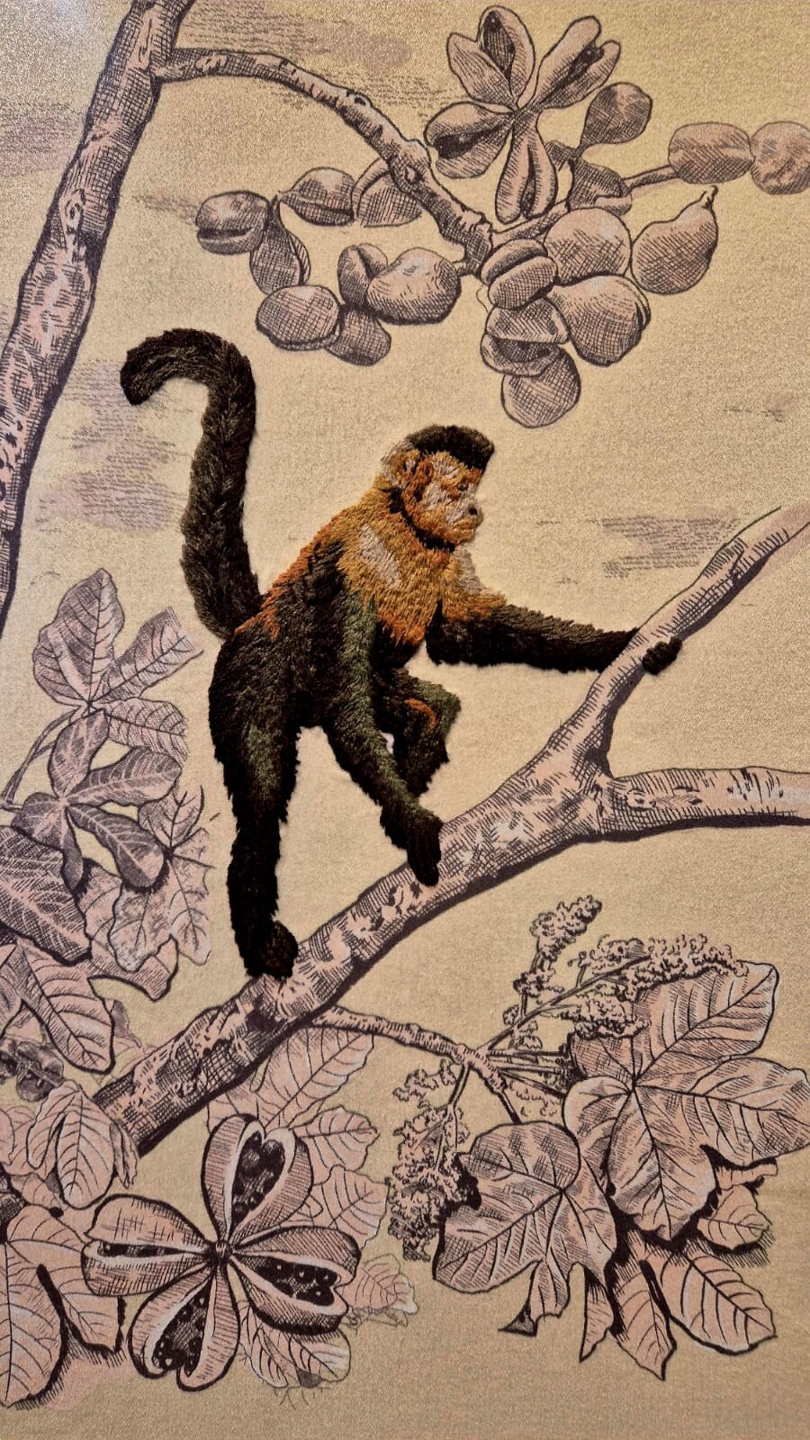 =WhatsApp Image 2026-03-12 at 15.26.0