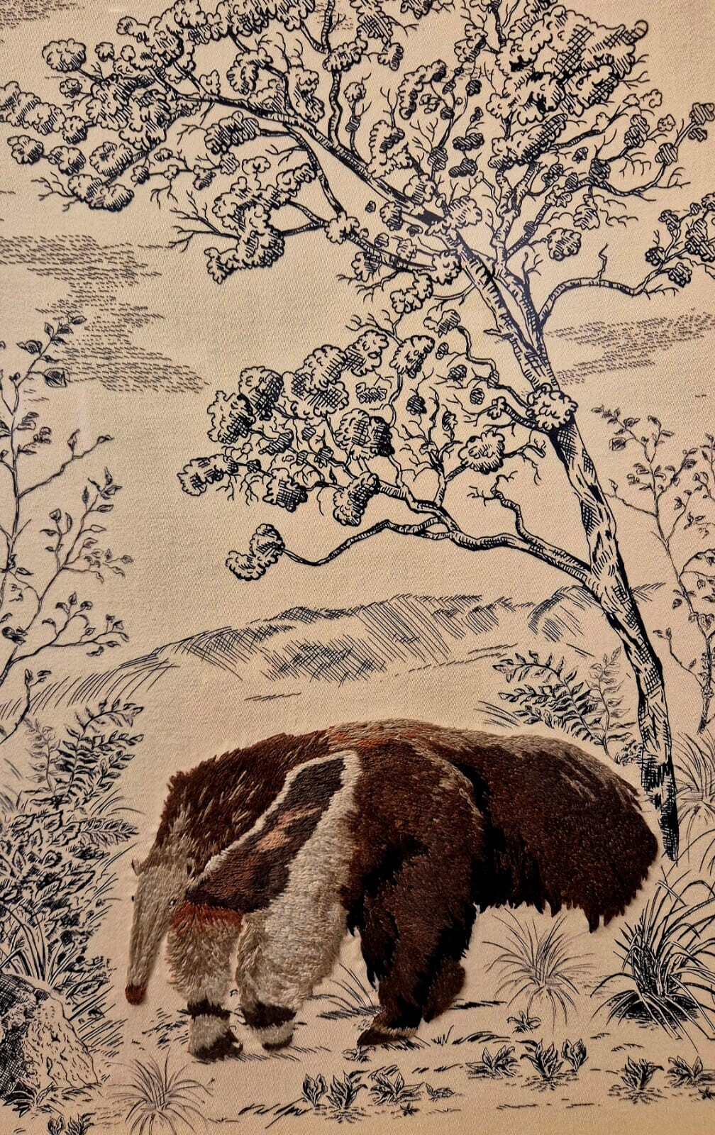 WhatsApp Image 2026-03-12 at 15.26