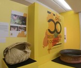 capa tour 360 exposição 50 anos do MA UFG
