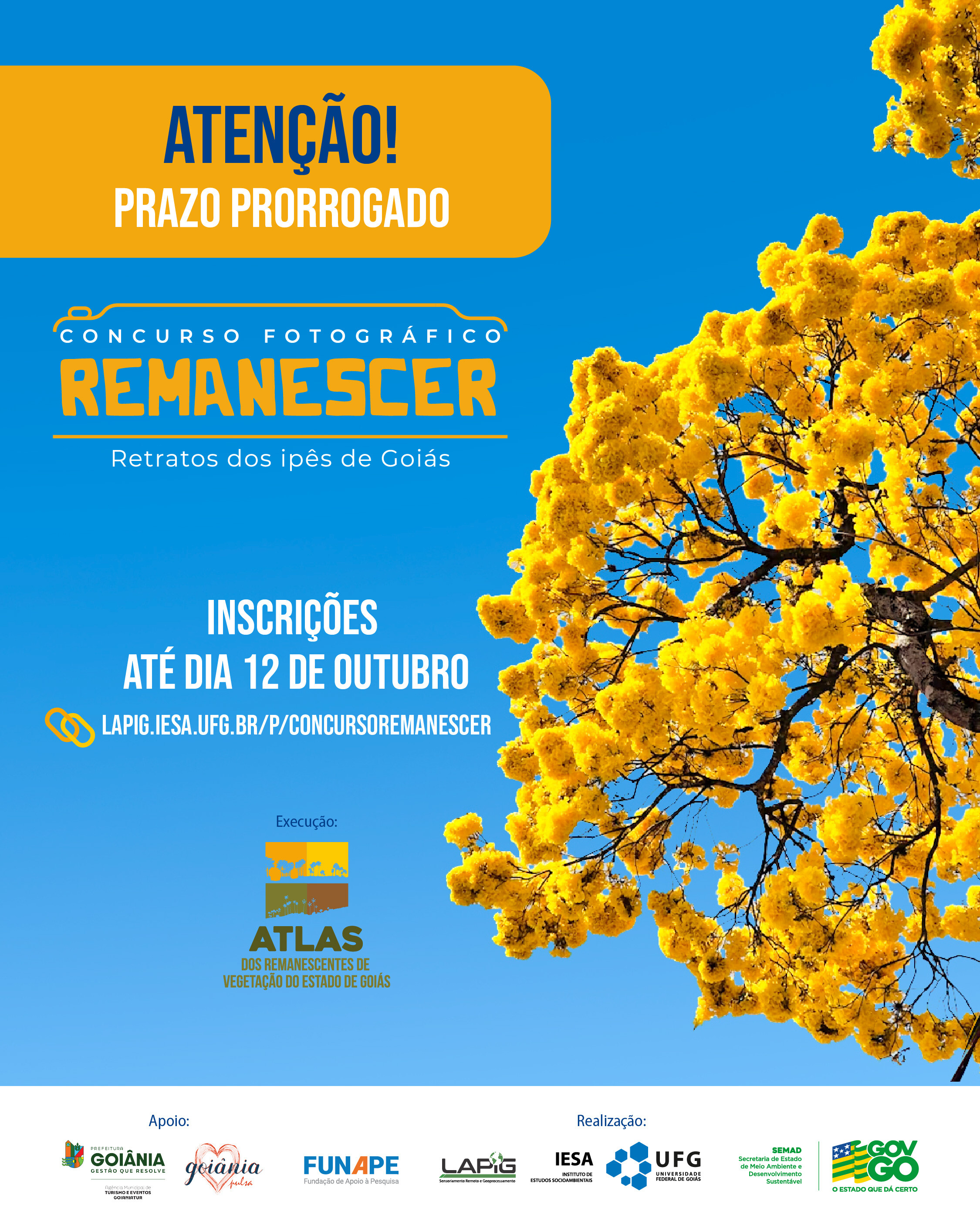 prorrogação 