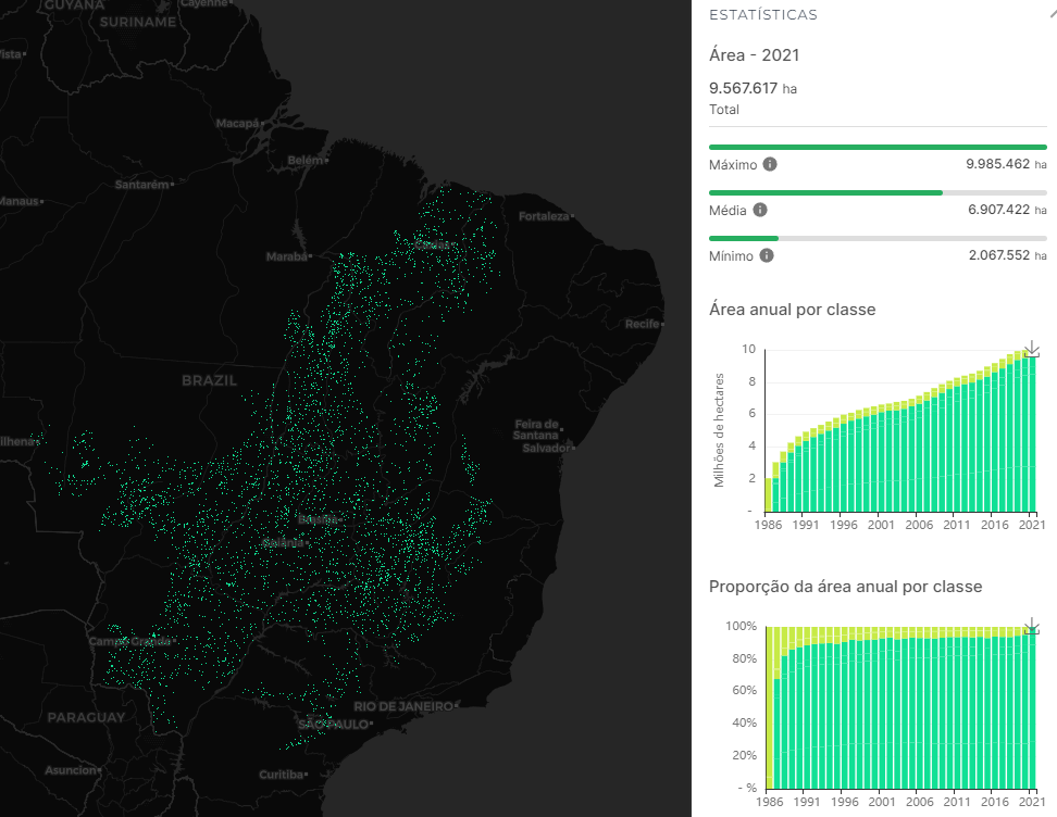 Vegetação secundária Cerrado 2021