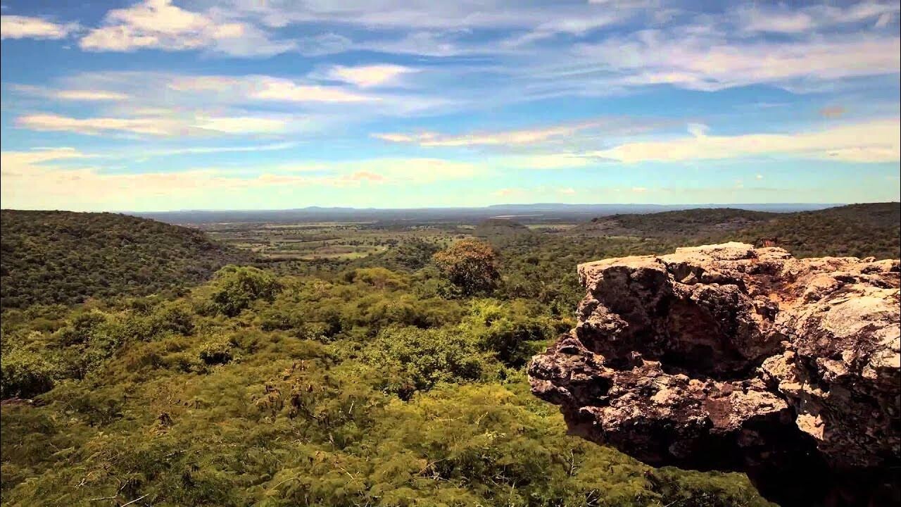 Você Conhece o Cerrado? (2014)