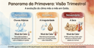 trimestre SON